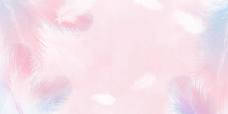 粉色渲染彩色羽毛层次感展板背景羽毛背景